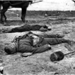 Confederate and Union Dead Side By Side in Trenches at Fort Mahone