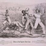 Effects of the Fugitive-Slave-Law